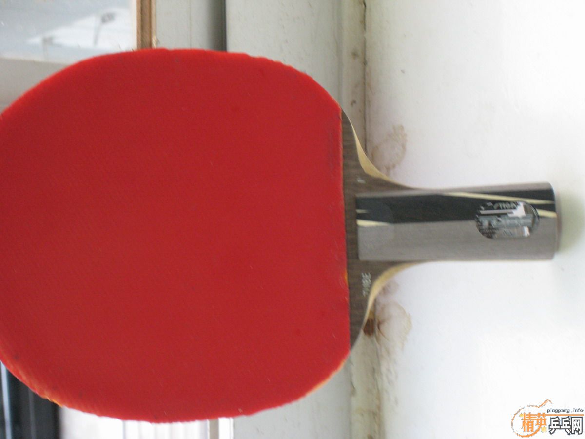 ����ͷ10��ֱֻ������������ʽ𣬼����ա��ǳ����ţ����ϻ���������ͼ����ɫ�͹ۣ���Ǯ��������