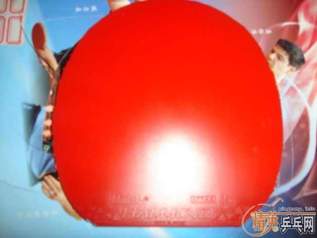 ���±༭������ NEOʡ��3 �տ�3 ���� ���Ǻó�ɫ