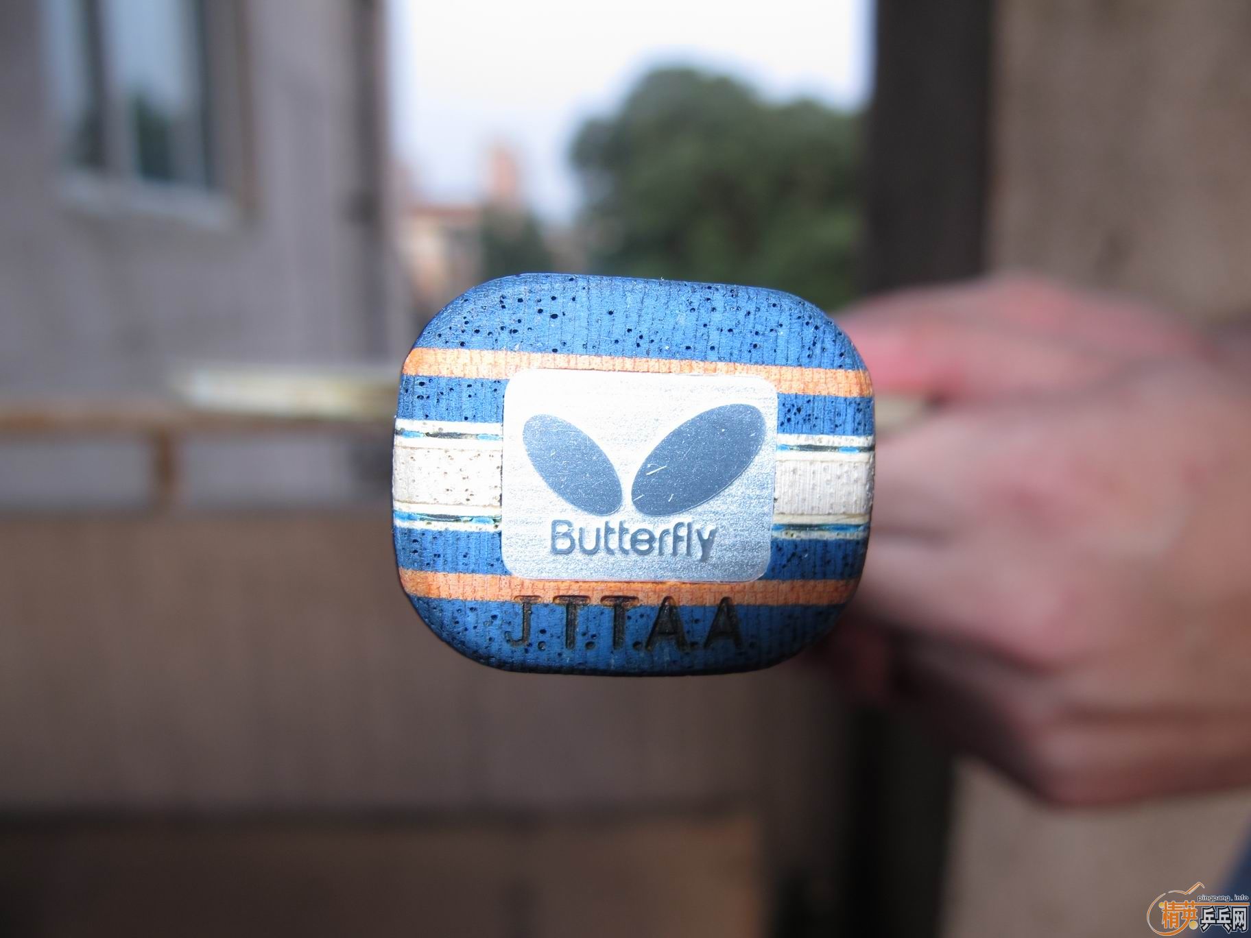 �ո����֣�����boll st����Ƭ�׽�