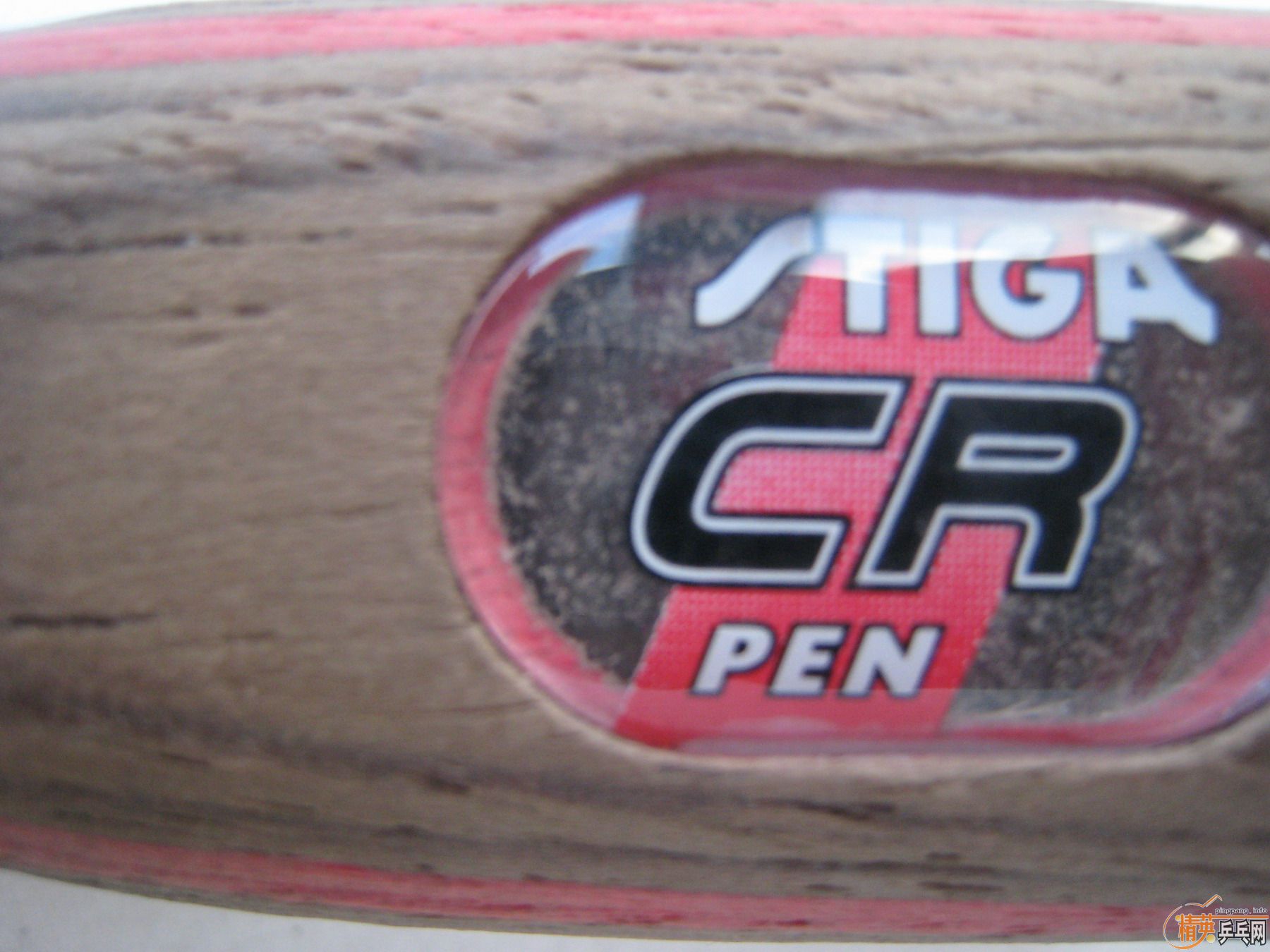 ����ͷ10��ֱֻ������������ʽ𣬼����ա��ǳ����ţ����ϻ���������ͼ����ɫ�͹ۣ���Ǯ��������