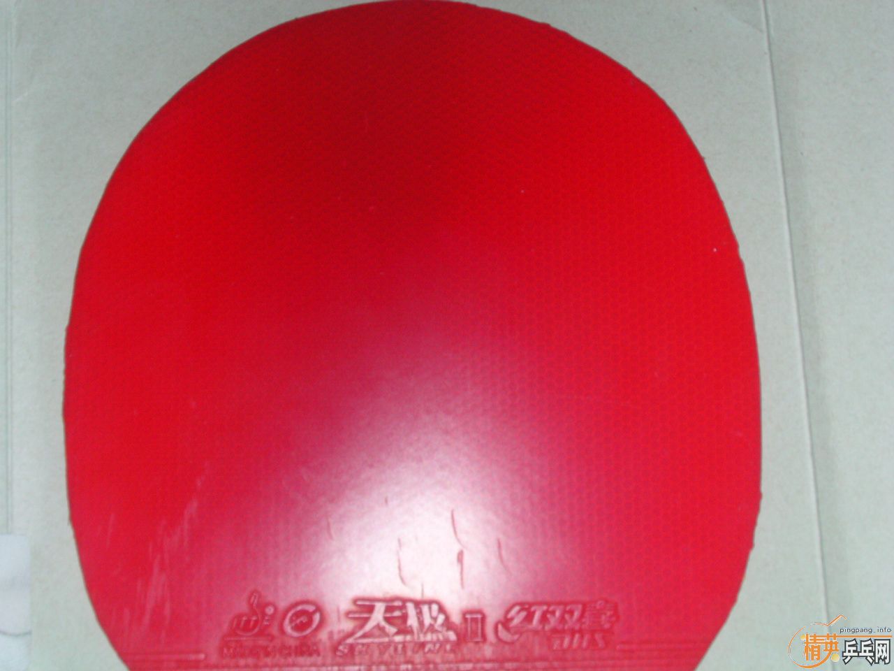 ��һ�� 99 �µ�  �켫��  ��ֱ��YEO���ְ���