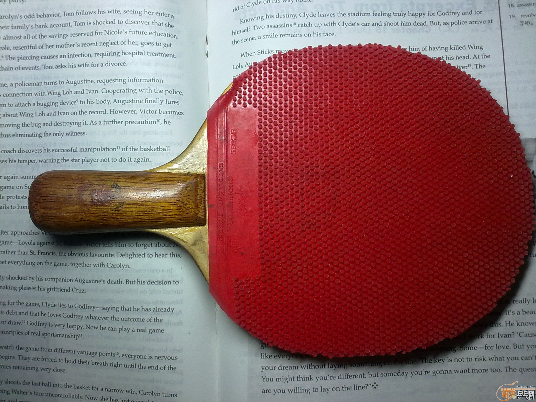 ���˸��Ϻ�˫ϲ032���Լ�����Ӧ��