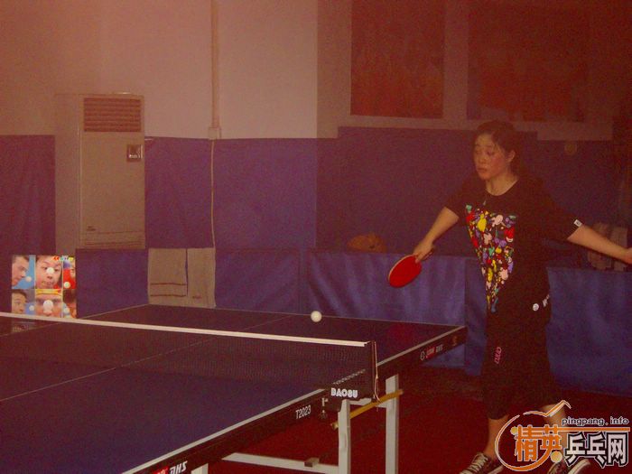 ��Ӣ�����ൺƹ�Ѿ��ֲ����ѻ�9.5���·ݵ�һ��������ʵ