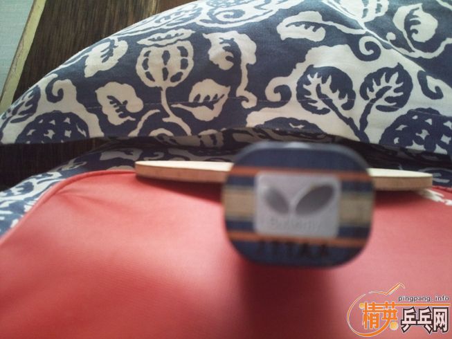 ��ST�ϲ�������YOֱ��һֻ����ɫ�����켫2һ��700Ԫ