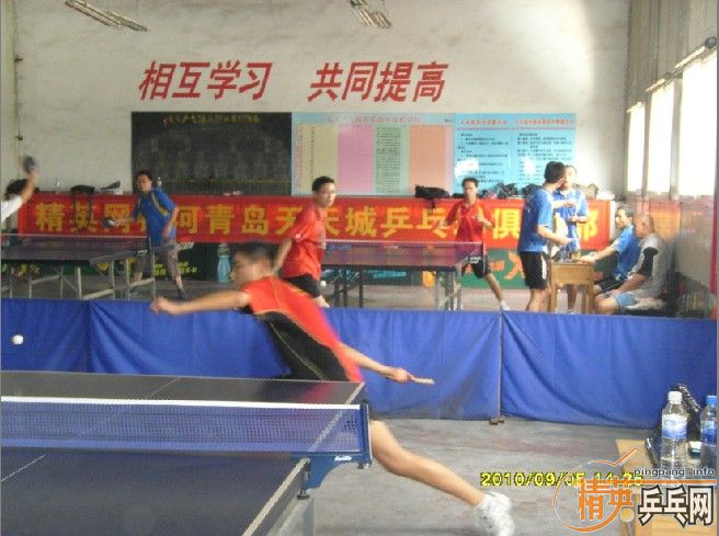 ����9��5�վ�Ӣ�����ൺ����ǵ���ɼ�������