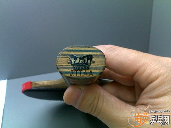 ���������������һֻ