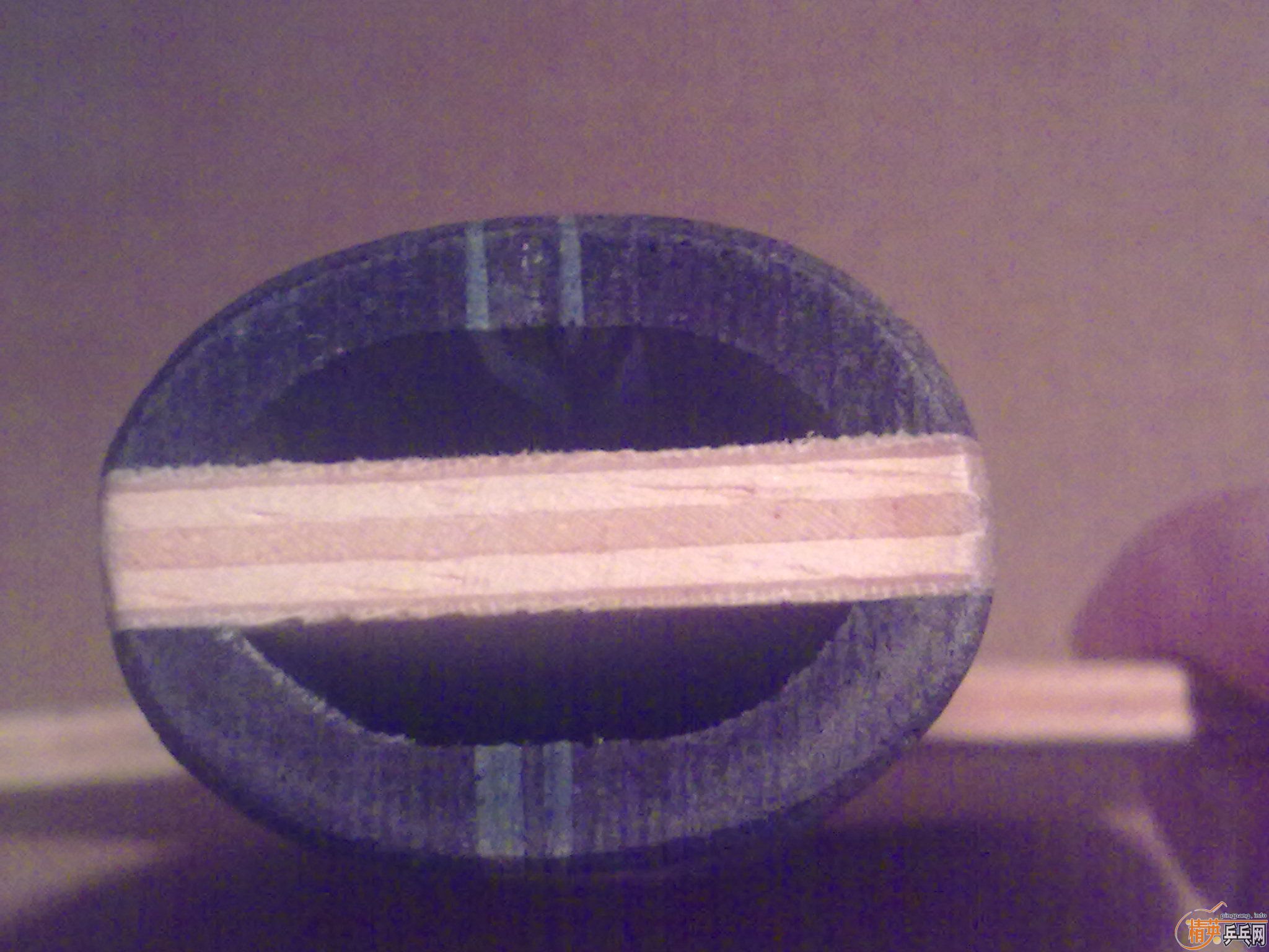 ��AN���������ľ