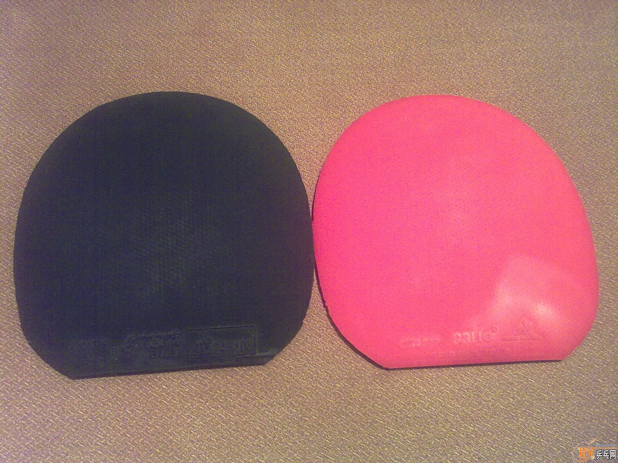 ��AN���������ľ