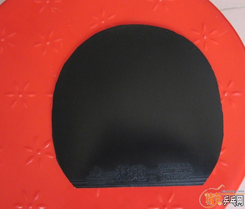 ֻ���һ�ε���̤�ſ��PRO