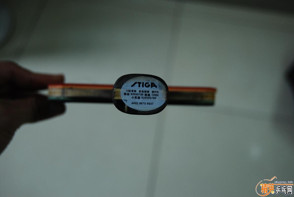 ֱ��˹�ٿ���������һֻͬ���ĺ��15305543099