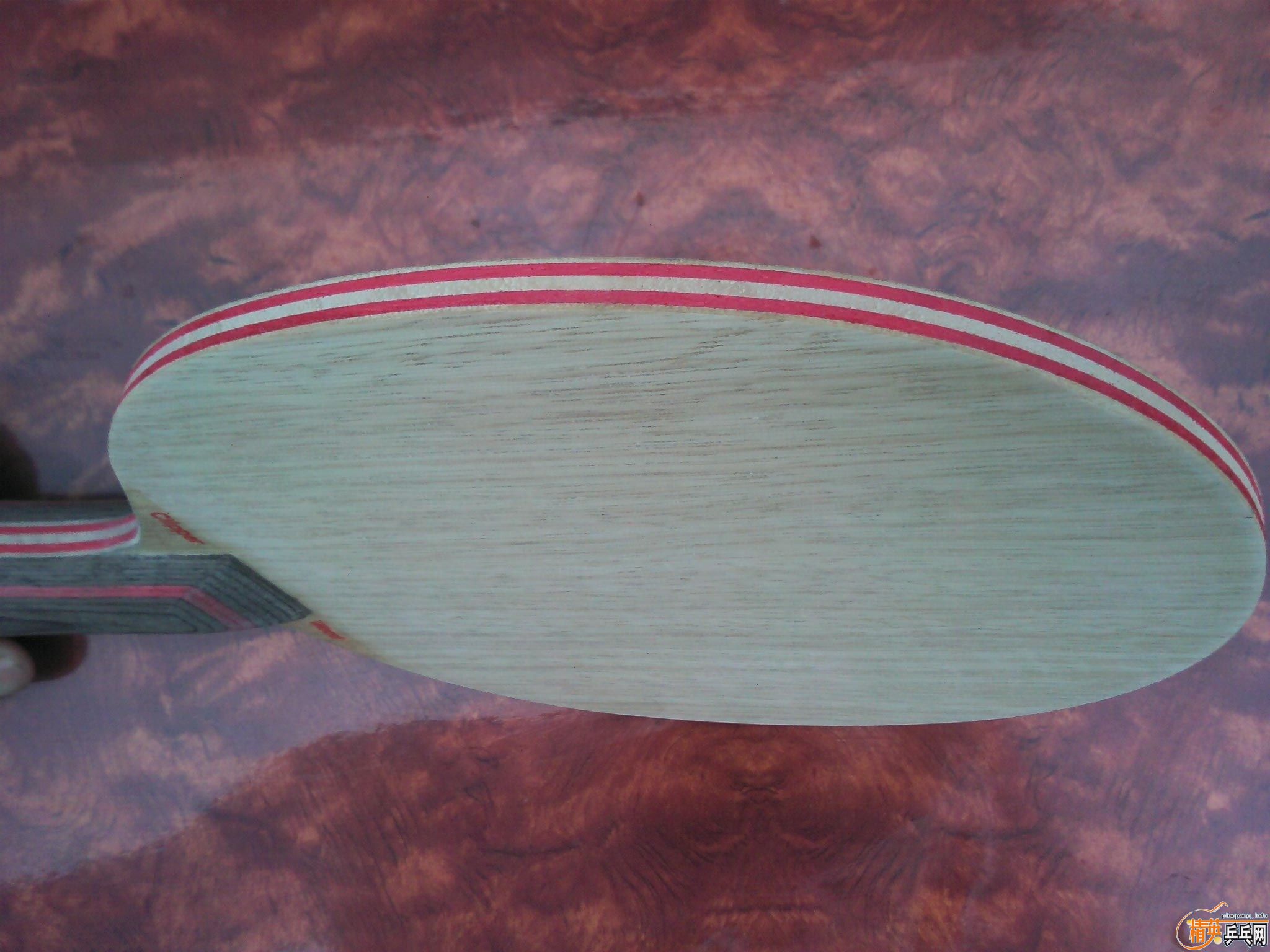 �л���CL     �����