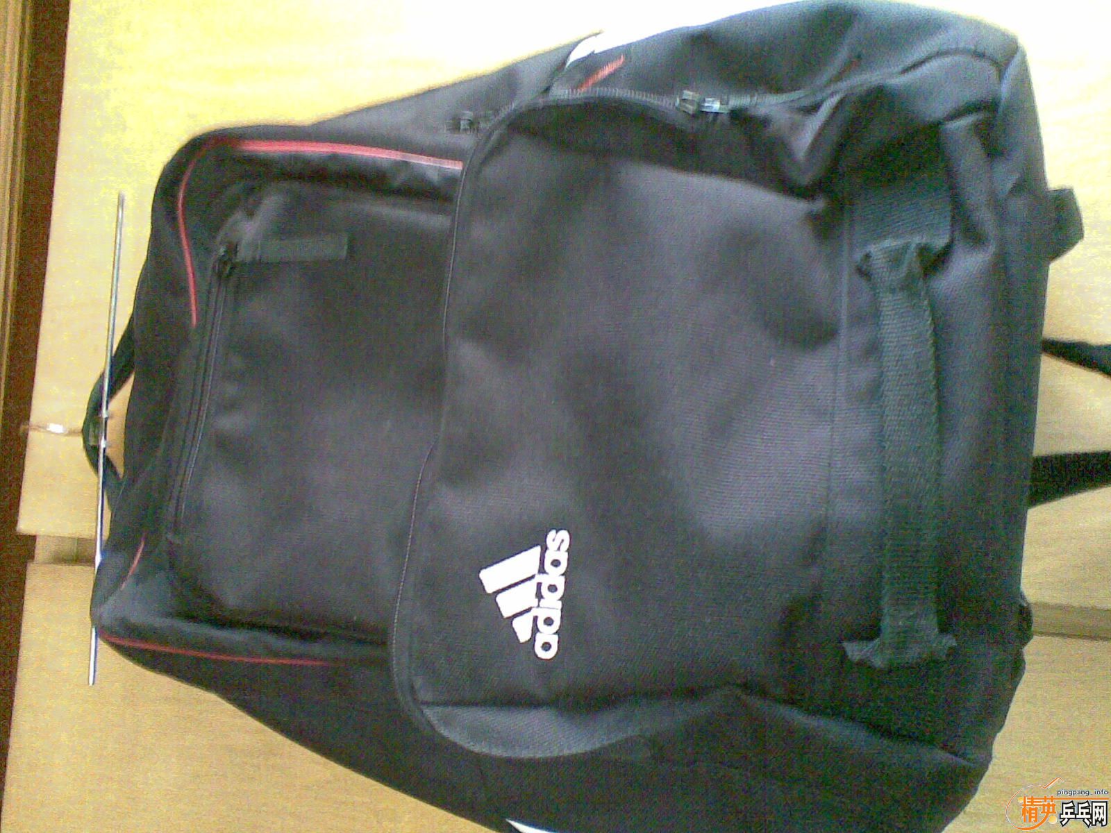 ���ϵ�˫����������ɫ�����ĺ����׽�.