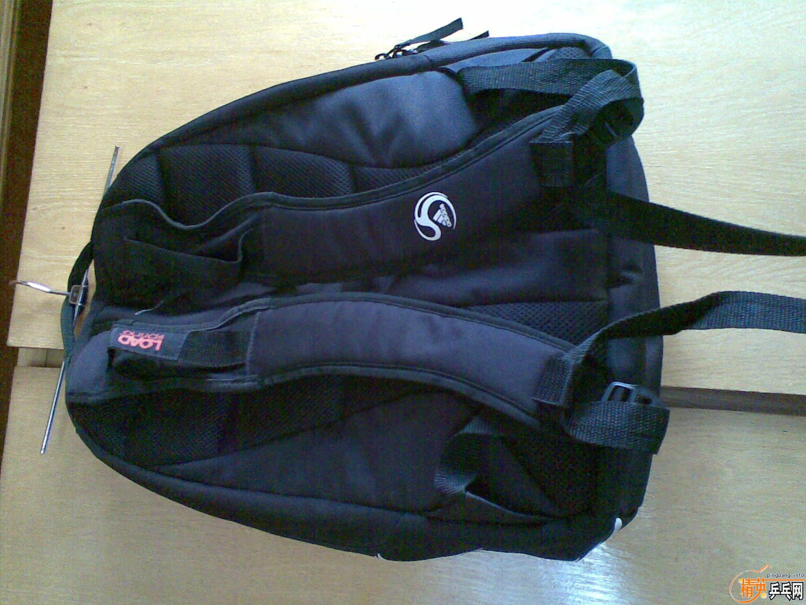 ���ϵ�˫����������ɫ�����ĺ����׽�.