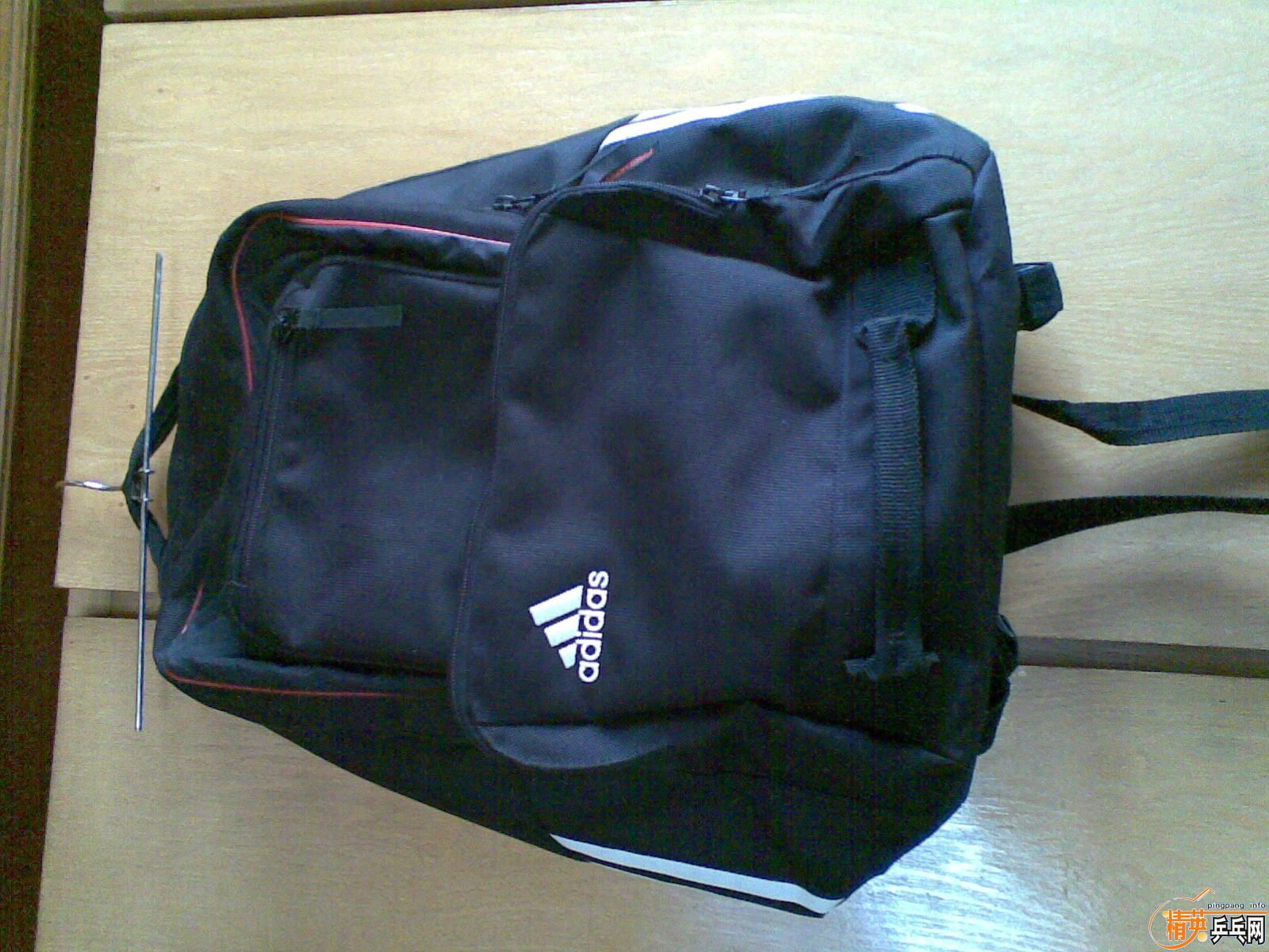 ���ϵ�˫����������ɫ�����ĺ����׽�.