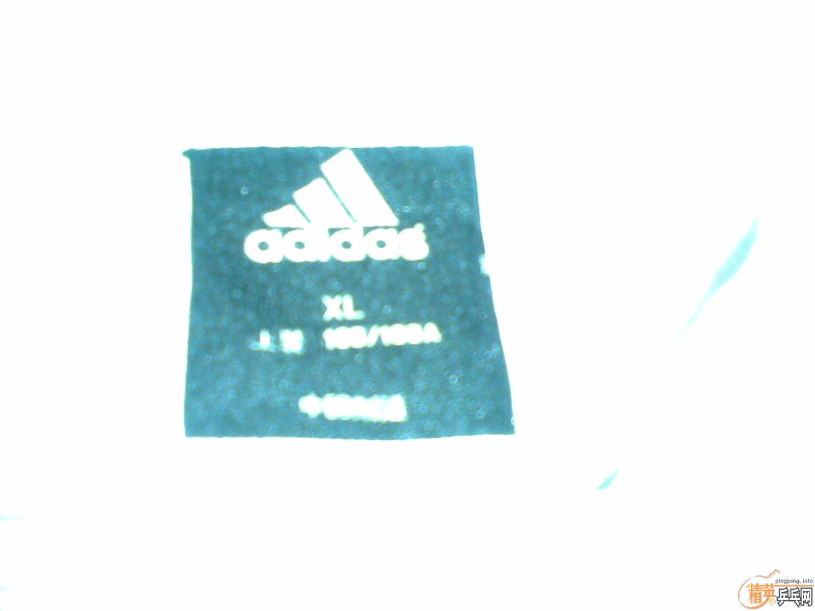 ���ϵ�˫����������ɫ�����ĺ����׽�.