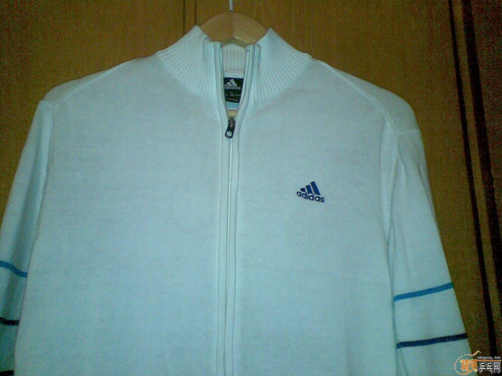 ���ϵ�˫����������ɫ�����ĺ����׽�.