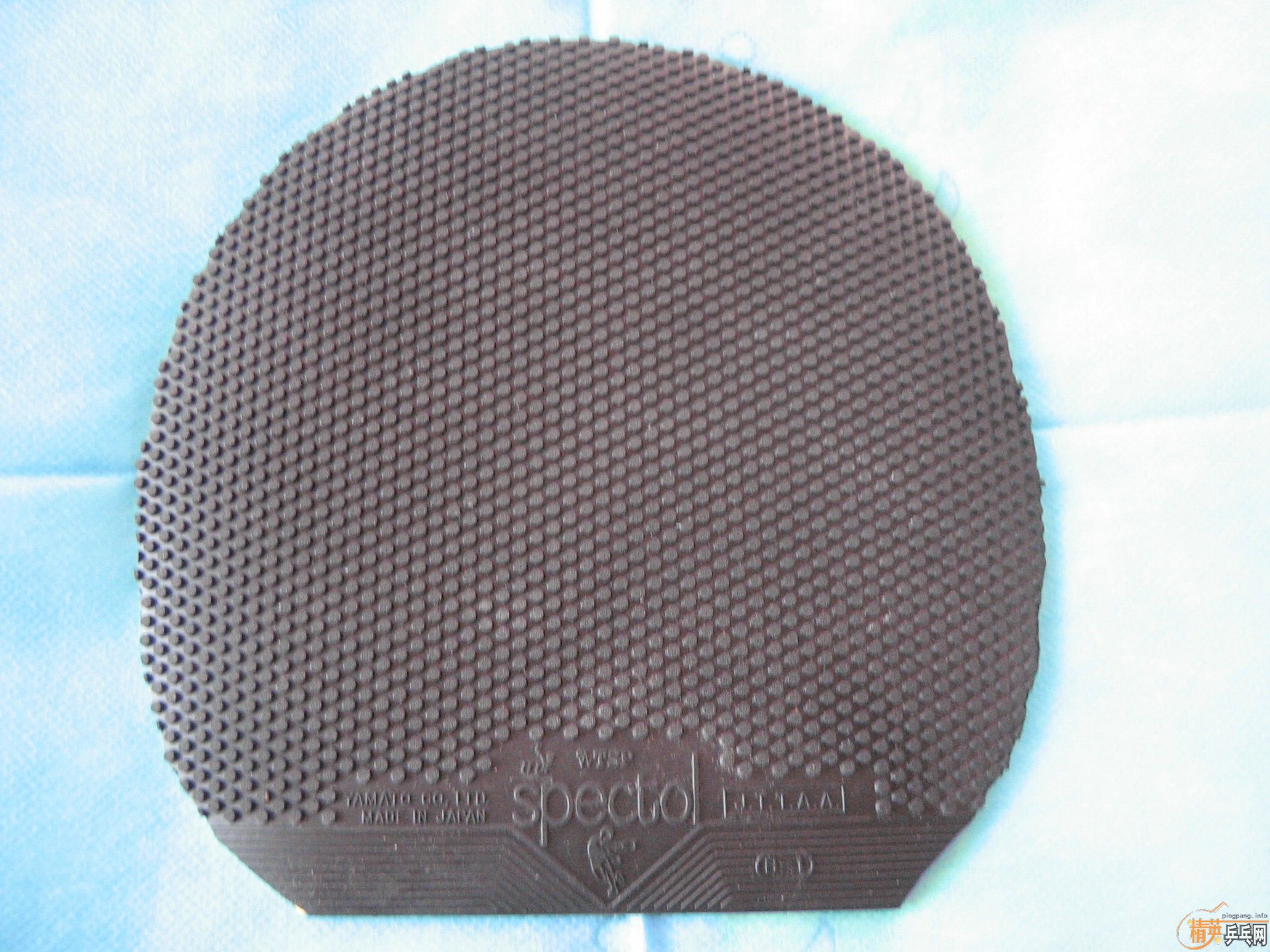 ��ֻ���3�ε�TSP������