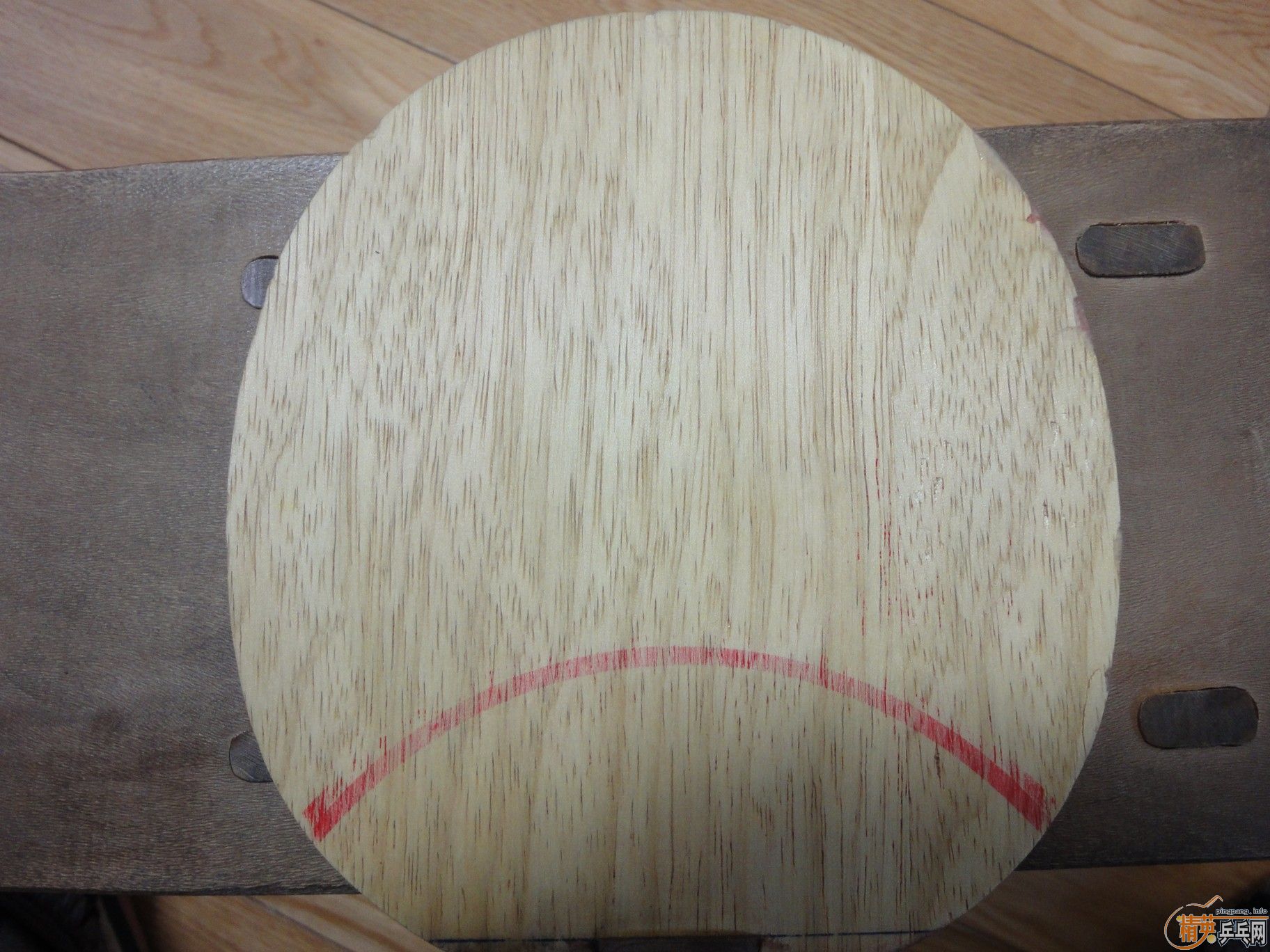 ������T2��һ�齹��1��100����