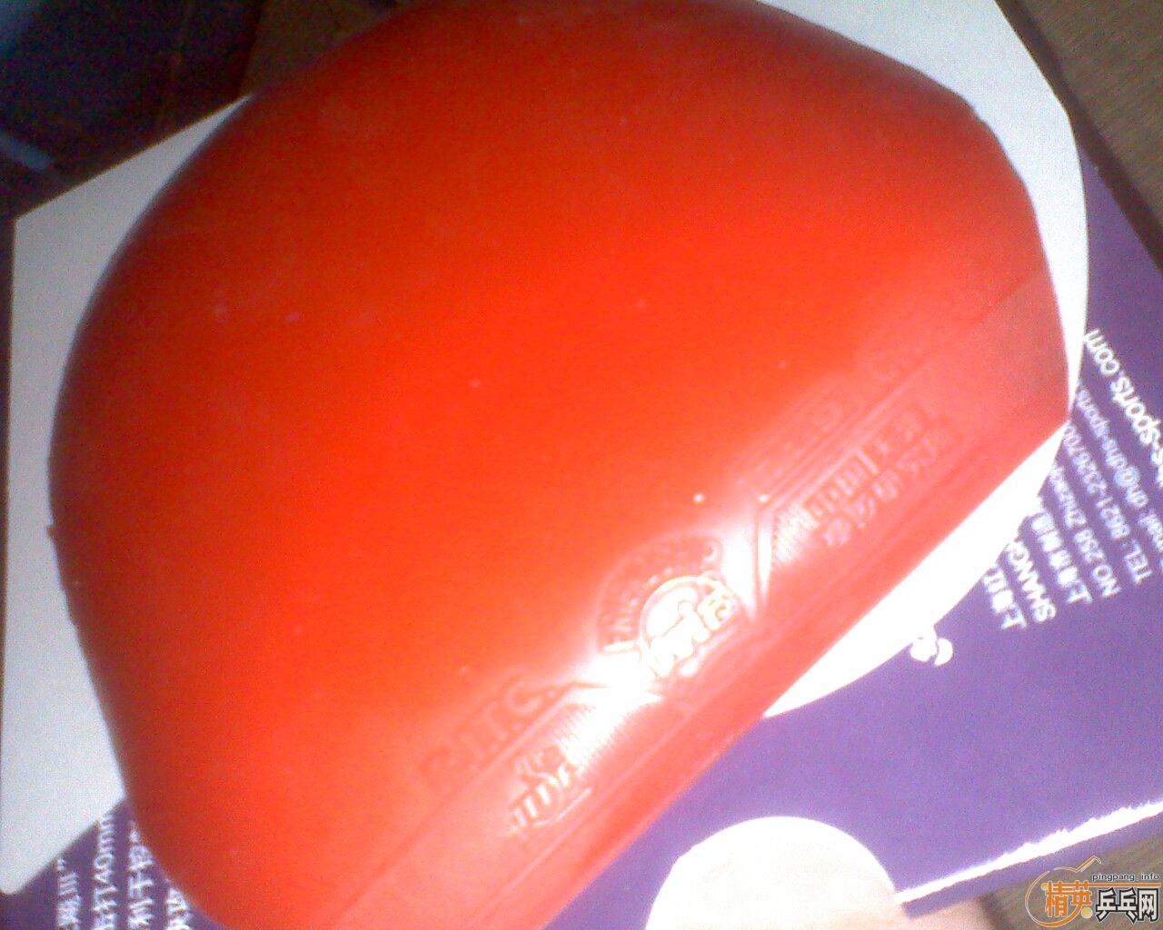 ��һЩ�׽���������ʡ�񡣾�Ʒ729