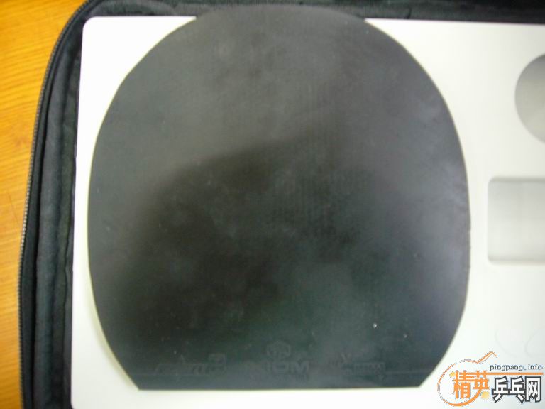 ������ŷ����2���������켫��������