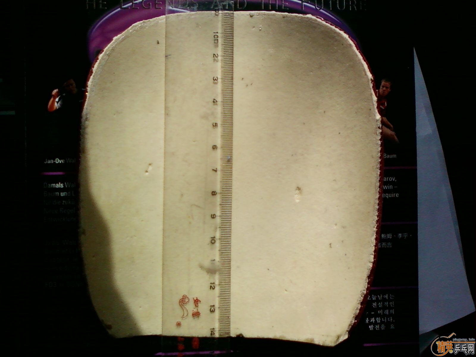 ��ֱ��S1��BARACUDA���200