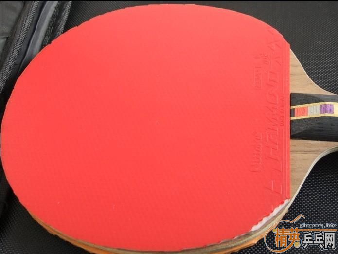 F1�����ᣬ����