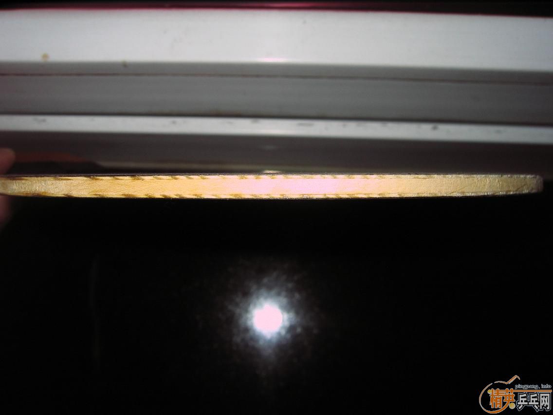 ��ŷ��OC-FL������OC-FL��һֻ��510Ԫ����ݡ�