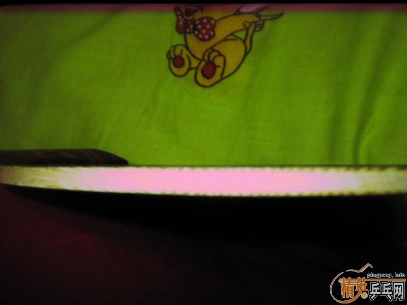 ��ŷ��OC-FL������OC-FL��һֻ��510Ԫ����ݡ�