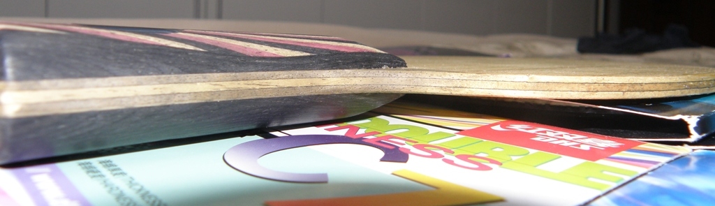 ��STIGA��˹̼��LEGEND��300����