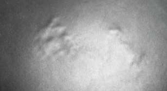 [����]�������Ƥ���������������ͼ�����Ĳ��ã�����ɼ���ͼ��