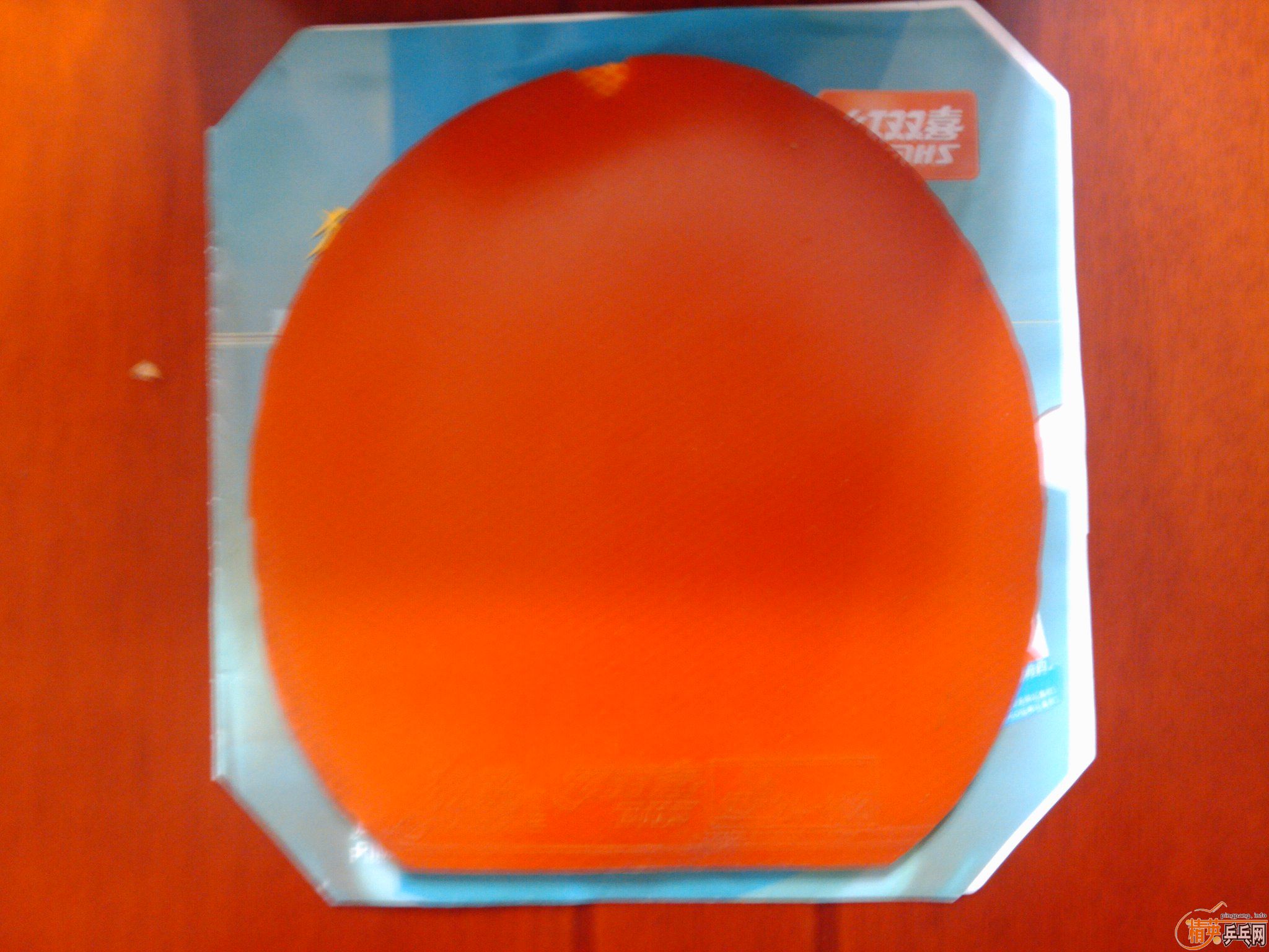 ��Щ���׽�˹����G3   ˹����L  ���CHINA TS  TSP����  ���