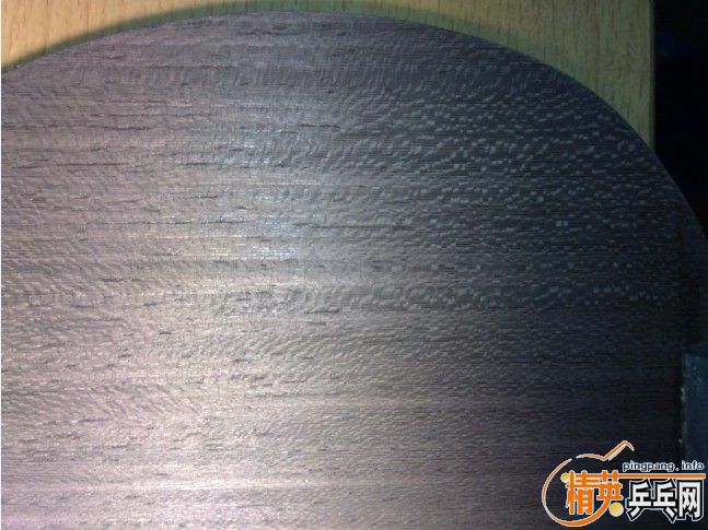 �ط�~08С�������˿���� ����`