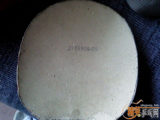 JO�컻EL ���Ǻ�