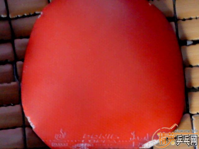 JO�컻EL ���Ǻ�