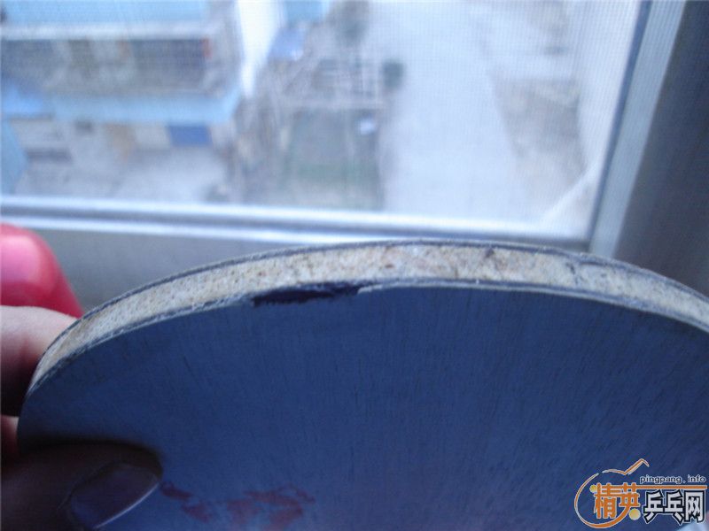 [ԭ��]������ˡ���Щ���Ӻͽ�Ƥ