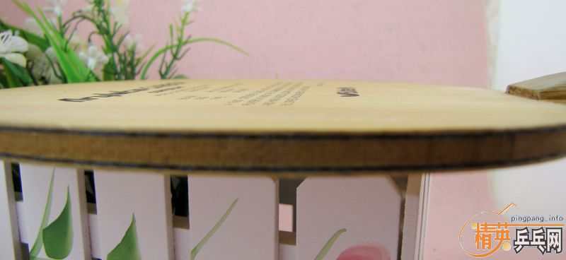 ����������������� FL�� 650���ʡ�֧��֧����