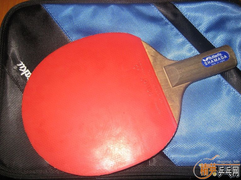 xin�㵽����shamada