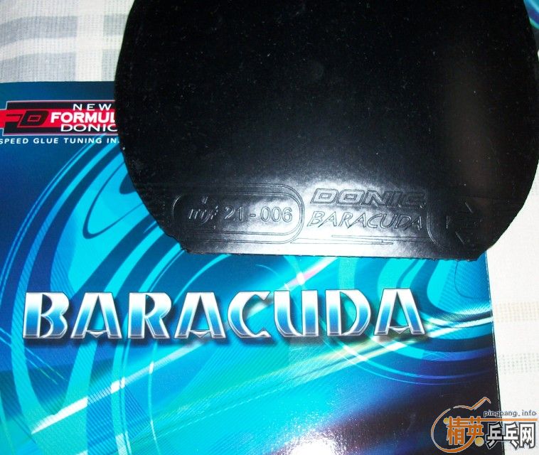 ���ף���������������ѵ���