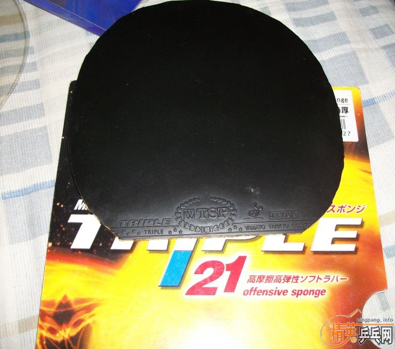 ���ף���������������ѵ���