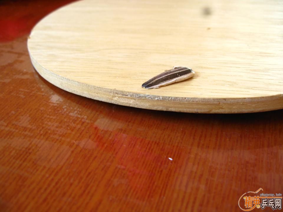 ֧������TO~~~~