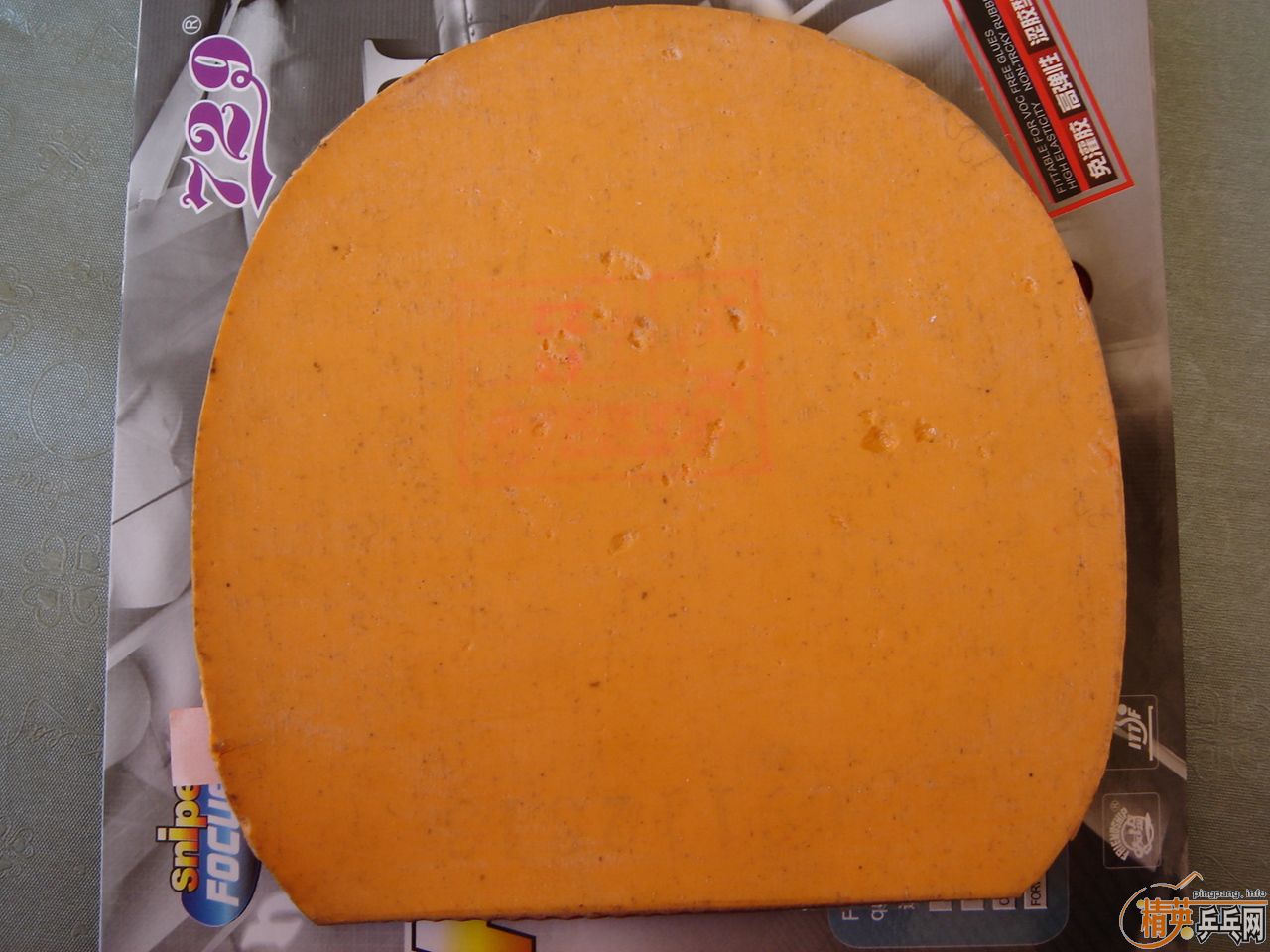 ʡ�� 729-08   729cream   729-5    ����3