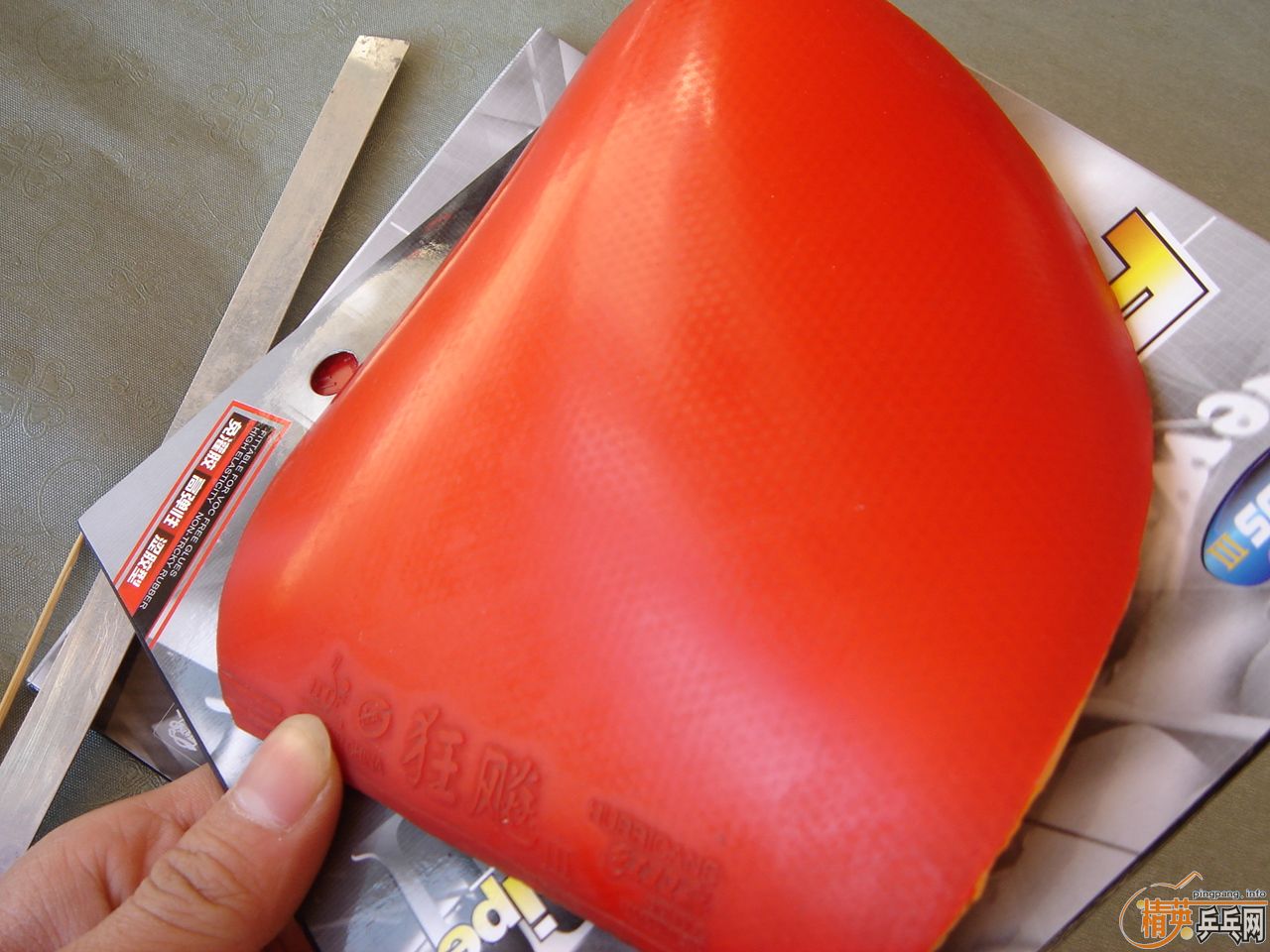 ʡ�� 729-08   729cream   729-5    ����3