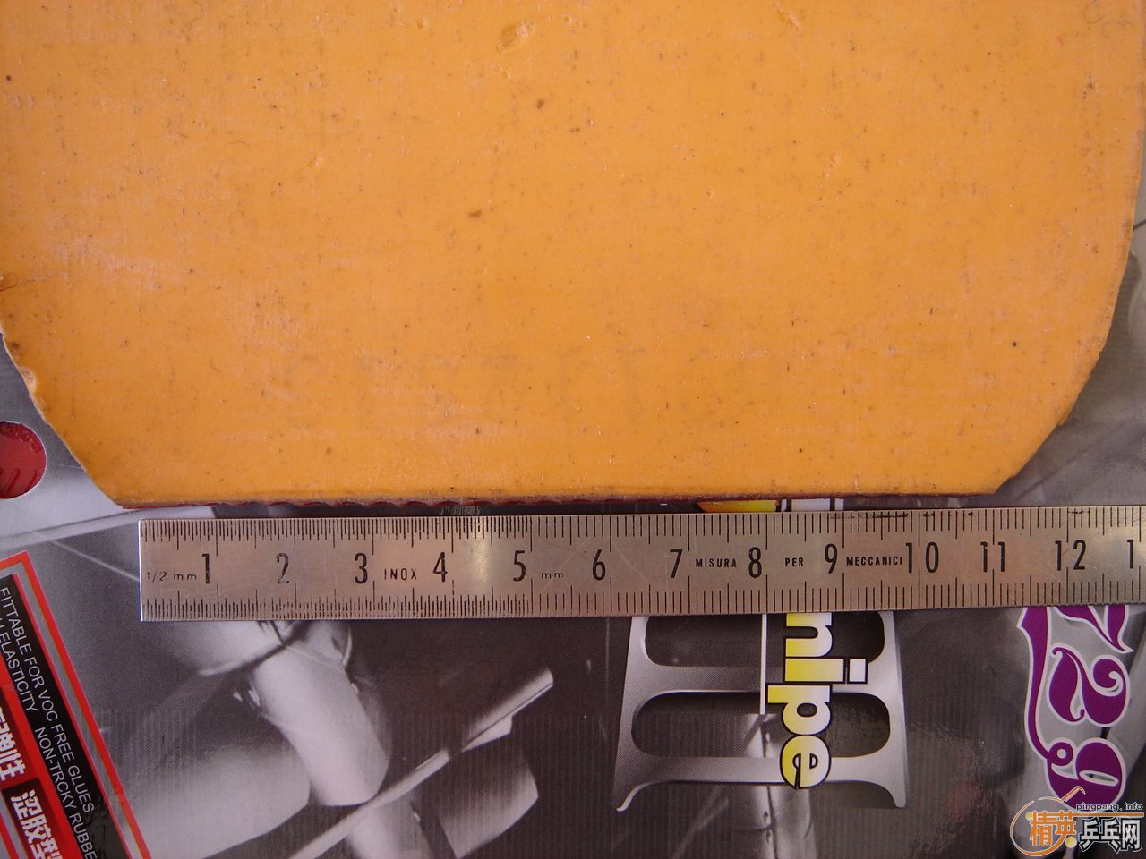 ʡ�� 729-08   729cream   729-5    ����3