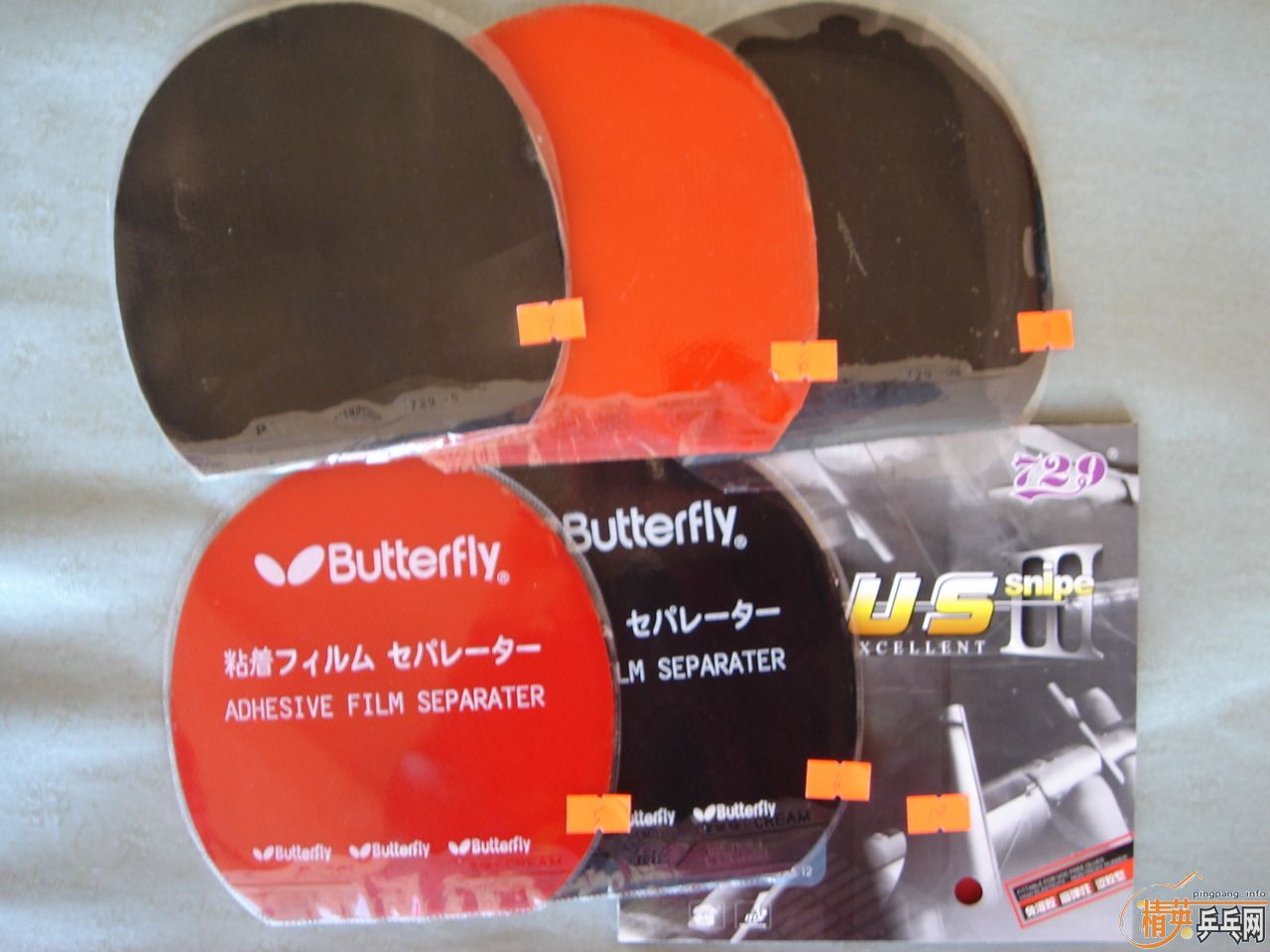 ʡ�� 729-08   729cream   729-5    ����3