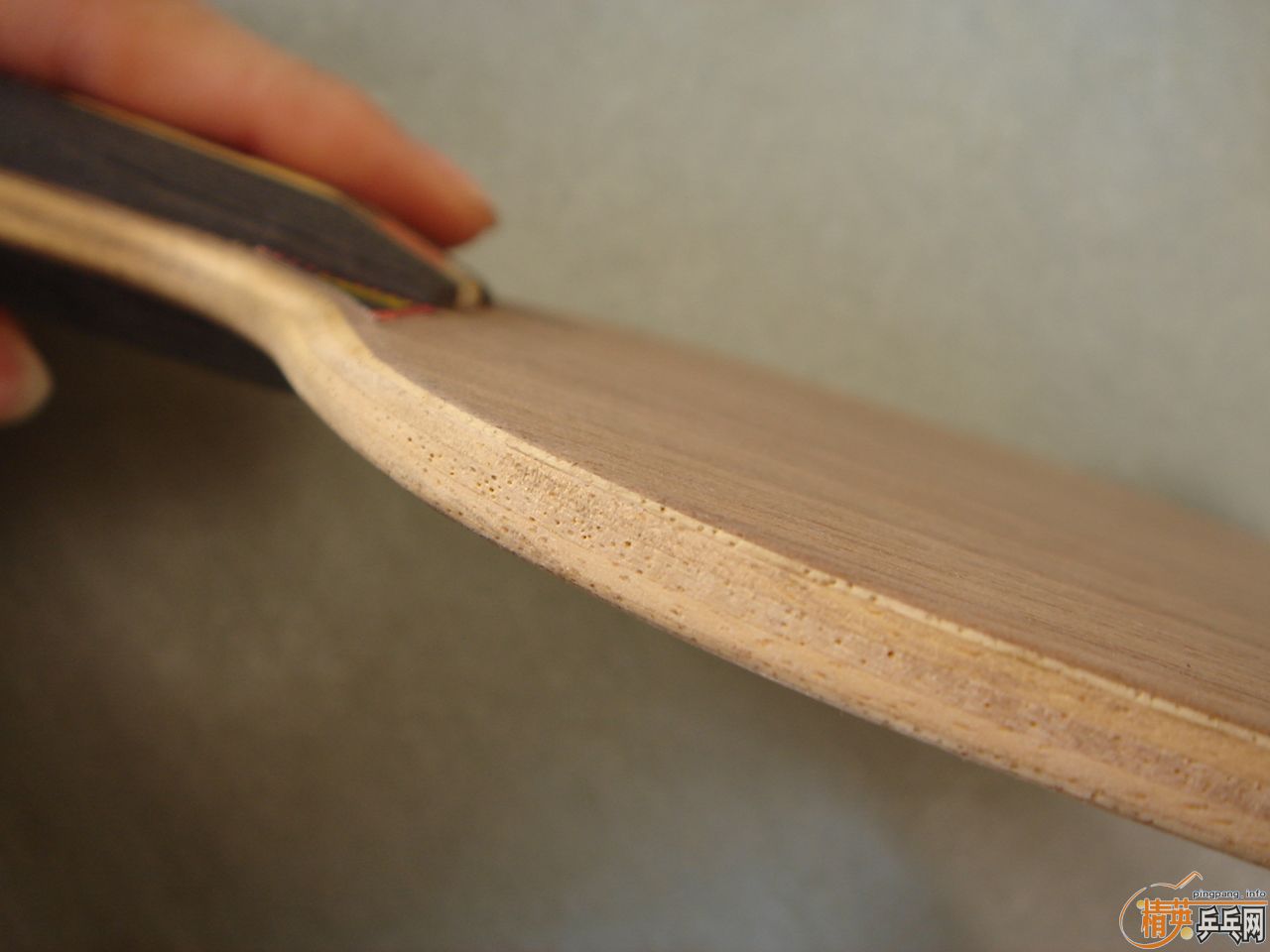ͼ  ǡ רҵ 85g  6.25mm  