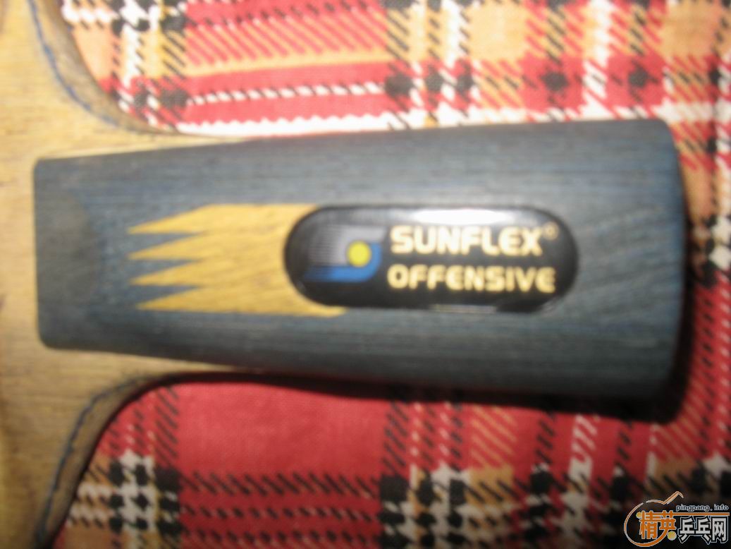 ���ѳ������ƺ��Ϻ��ϵı�������