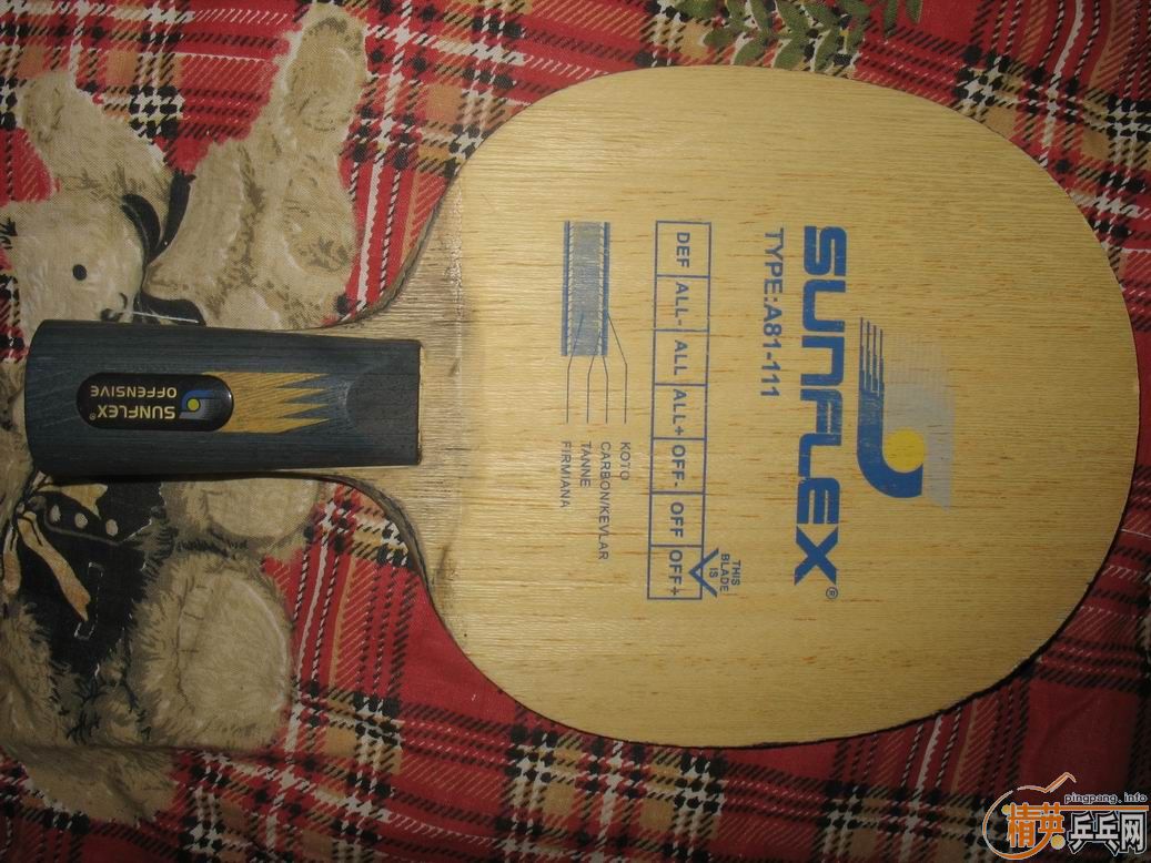 ���ѳ������ƺ��Ϻ��ϵı�������