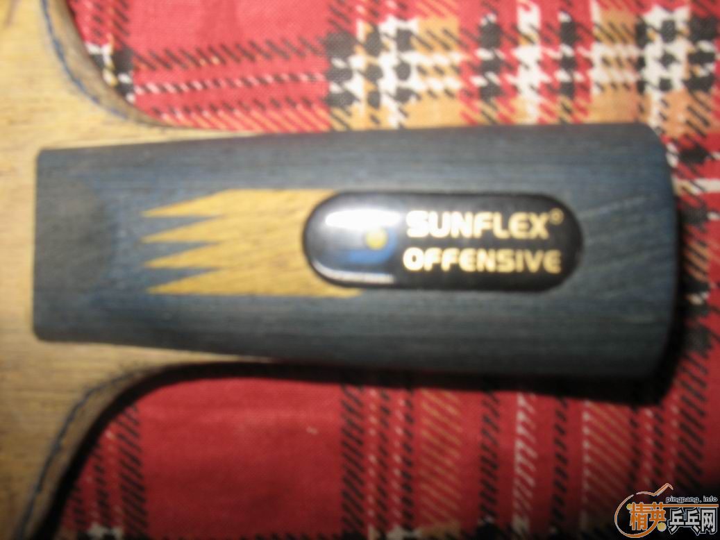 ���ѳ������ƺ��Ϻ��ϵı�������