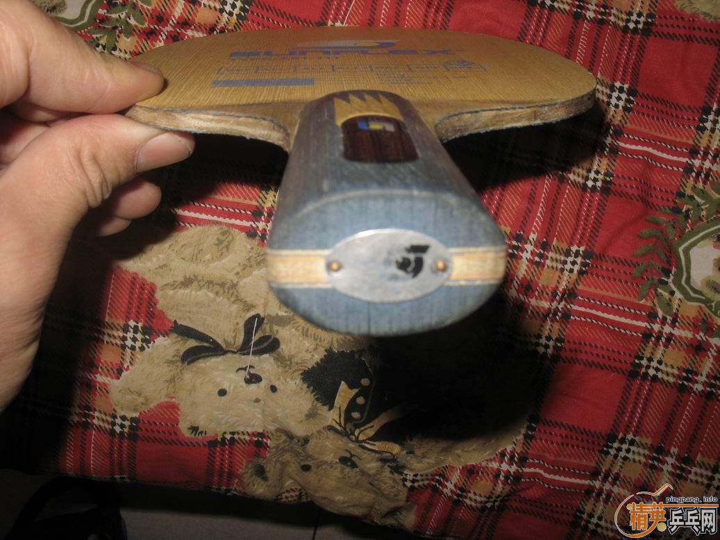 ���ѳ������ƺ��Ϻ��ϵı�������