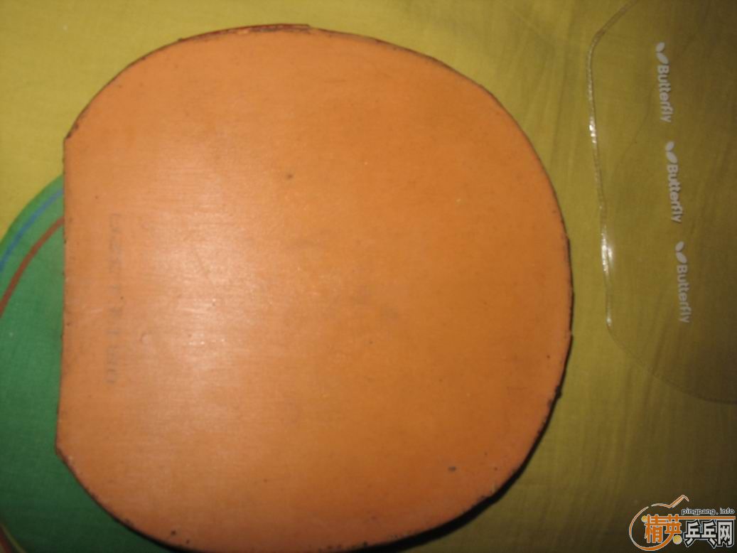 ���ѳ������ƺ��Ϻ��ϵı�������